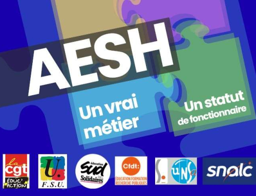 AESH : pour un vrai statut !