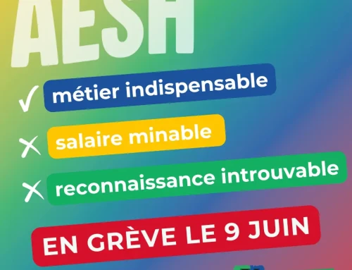 AESH : un vrai métier, un vrai corps de fonctionnaire ! Toutes et tous mobilisé·es le mardi 9 juin